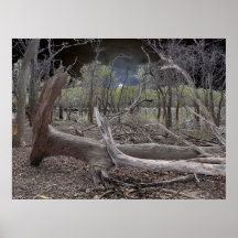 Trails End Posters
