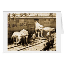 Train d'éléphant de Ringling Bros de glissière de  cartes
