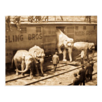 Train d'éléphant de Ringling Bros de glissière de  cartes postales