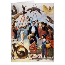 Trained Dog Act, c.1899 Card