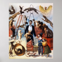 Trained Dog Act, c.1899 Posters
