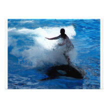 Trainer riding on killer whale orca photograph custom invites