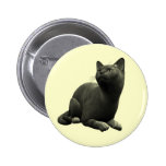 Tranquil Black Cat Button
