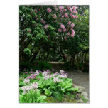 Tranquil Path Greeting Card
