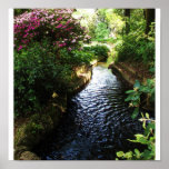 Tranquil Stream Poster