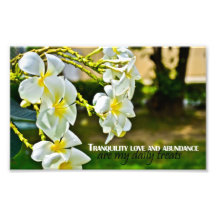 Tranquility, Love and Abundance Custom Photo Print