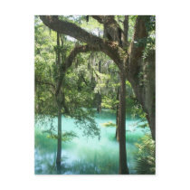 Tranquillity Postcard