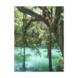 Tranquillity postcards