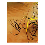 Tranquillity Postcard