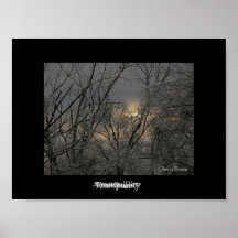 Tranquillity Poster