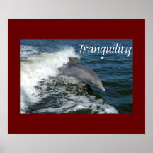 Tranquillity Posters