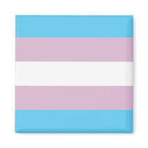 Trans Pride magnet