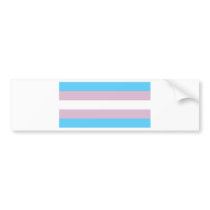 Transgender Pride