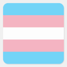 Transgender Pride Flag Sticker
