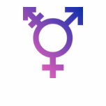 TRANSGENDER PRIDE shirt
