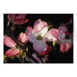 Translucent Greeting Card