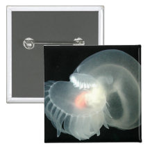Transparent Sea Slug Pinback Buttons