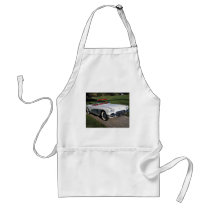 Transportation 077,classic cars,corvette,a classic aprons