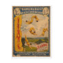 Trapeze artists Barnum & Bailey 1896 Post Cards