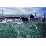 Trapper Cabin Along the Banks of the Coleen River Photo Cutout