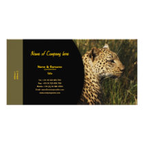 Travel agents, game lodges, hunting farms, safari