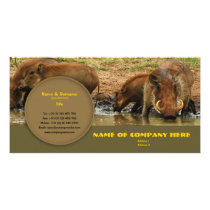 Travel agents, game lodges, hunting farms, safari