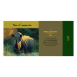 Travel agents, game lodges, hunting farms, safari
