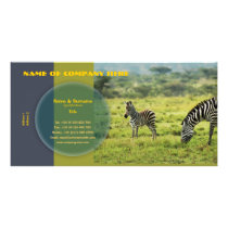 Travel agents, game lodges, hunting farms, safari