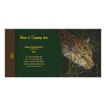 Travel agents, game lodges, hunting farms, safari
