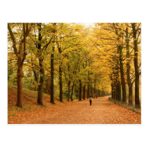 Travel collecting postcard 28