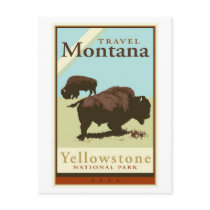 Travel Montana Post Card