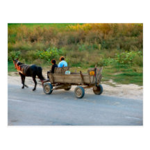 Travelling by horse and cart, Romania Postcards