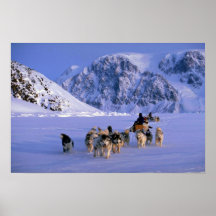 Travelling, Ellesmere Island Print