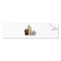 TravelLuggage112409
