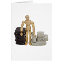 TravelLuggage112409