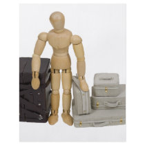 TravelLuggage112409