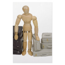 TravelLuggage112409