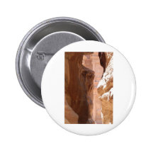 Treasury Pin