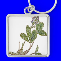 TREBOL DE AGUA keychains