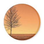 Tree 1 refrigerator magnets