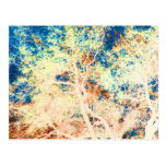Tree abstract orange and blue background post card
