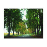 Tree alley in Hungary Postcards