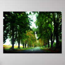 Tree alley in Hungary Posters