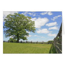 Tree and Wood Fence Greeting Cards