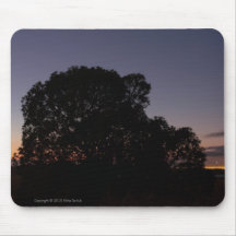 Tree at Night 1  Mousepad
