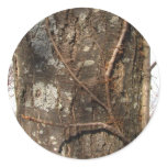 Tree Bark 33 ~ sticker