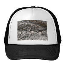 Tree bark patterns detailed view hat