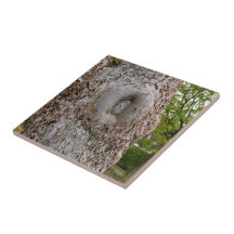 Tree Bark Texture in detail Ceramic Tiles