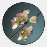 Tree Blossom Envelope Seal stickers