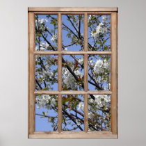 Tree Blossom from a Window Print